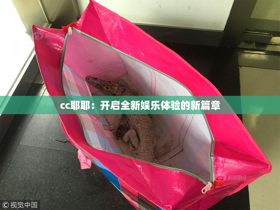 cc耶耶：开启全新娱乐体验的新篇章