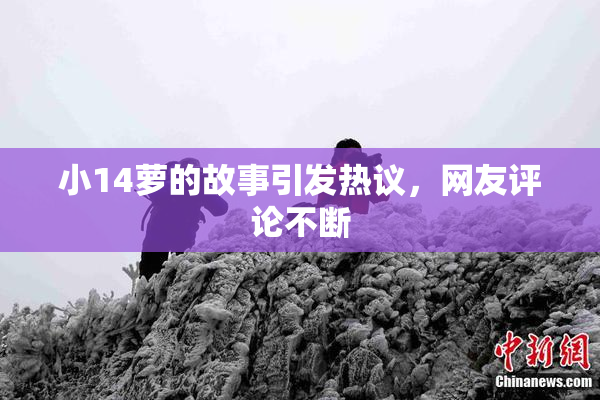 小14萝的故事引发热议，网友评论不断