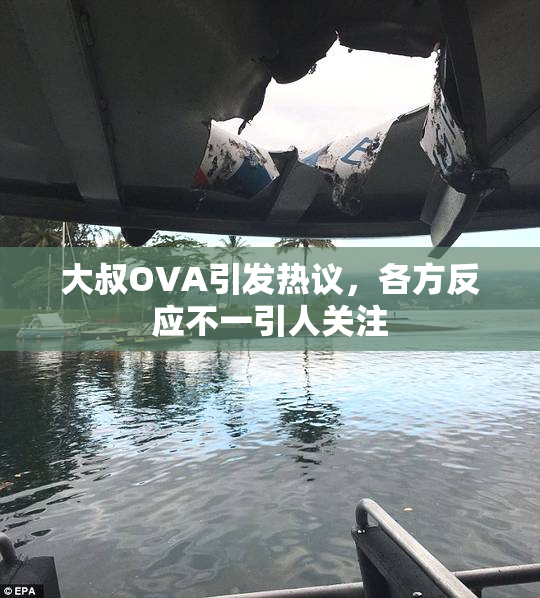 大叔OVA引发热议，各方反应不一引人关注