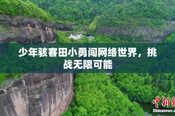 少年骇客田小勇闯网络世界，挑战无限可能