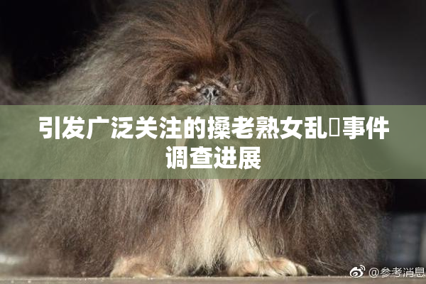 引发广泛关注的搡老熟女乱婬事件调查进展