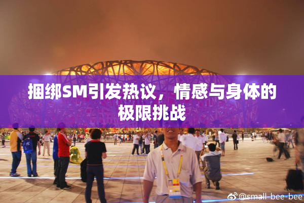 捆绑SM引发热议，情感与身体的极限挑战