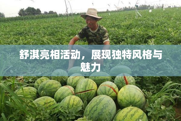 舒淇亮相活动，展现独特风格与魅力