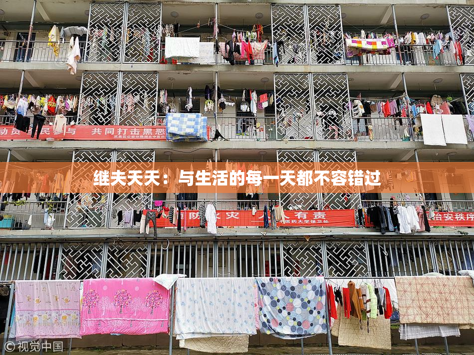 继夫天天：与生活的每一天都不容错过