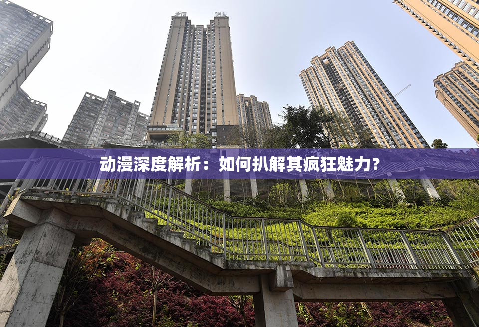 动漫深度解析：如何扒解其疯狂魅力？