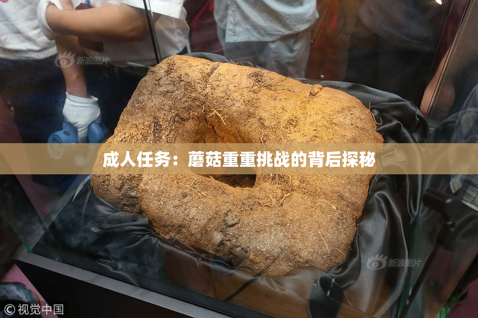 成人任务：蘑菇重重挑战的背后探秘