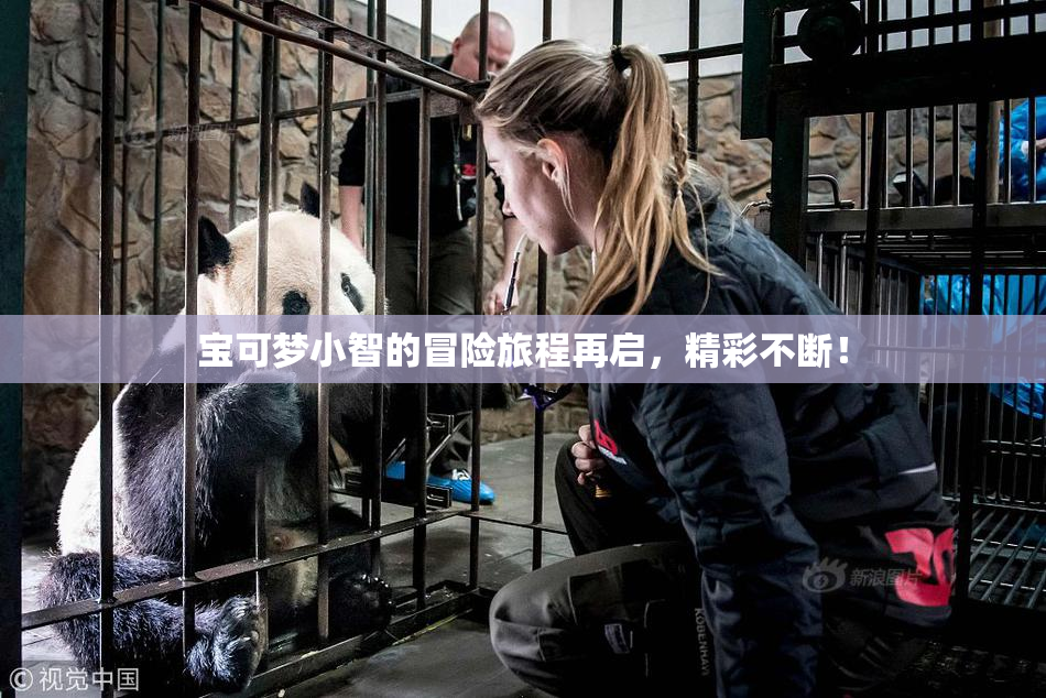 宝可梦小智的冒险旅程再启，精彩不断！
