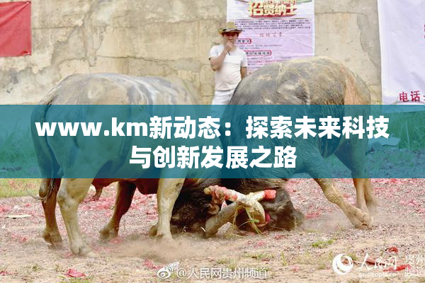 www.km新动态：探索未来科技与创新发展之路