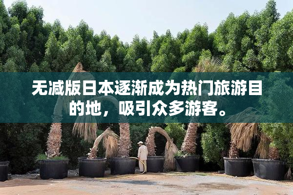 无减版日本逐渐成为热门旅游目的地，吸引众多游客。