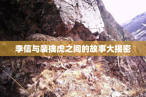 李信与裴擒虎之间的故事大揭密