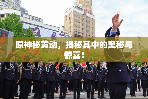 原神秘黄动，揭秘其中的奥秘与惊喜！