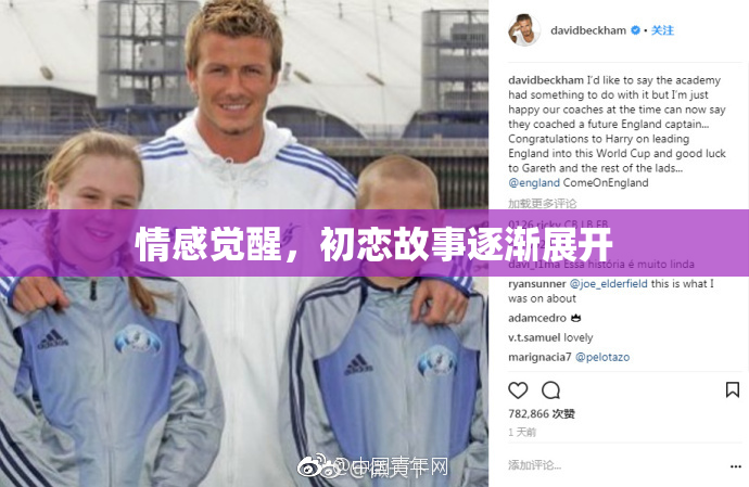 情感觉醒，初恋故事逐渐展开