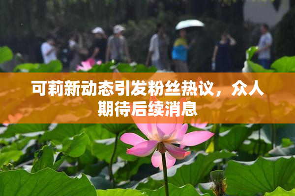 可莉新动态引发粉丝热议，众人期待后续消息