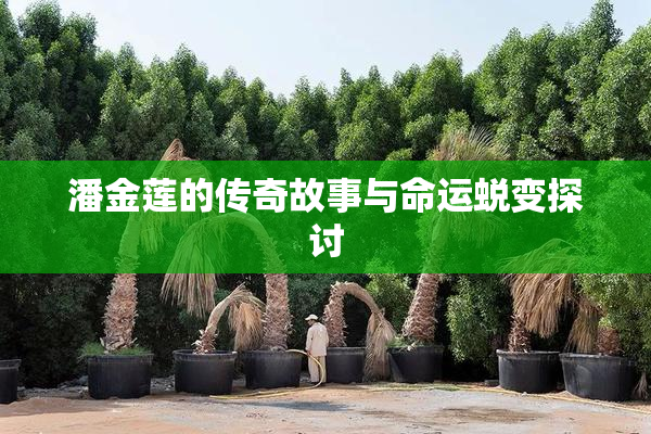 潘金莲的传奇故事与命运蜕变探讨