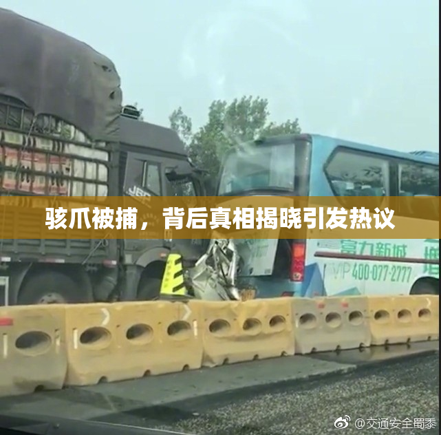 骇爪被捕，背后真相揭晓引发热议
