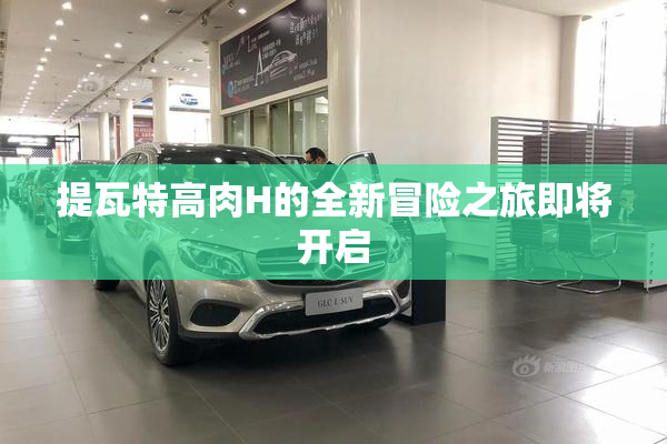 提瓦特高肉H的全新冒险之旅即将开启