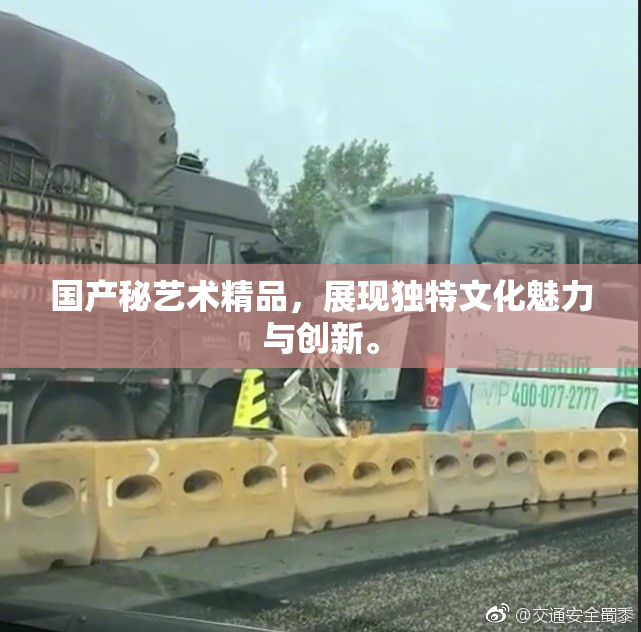 国产秘艺术精品，展现独特文化魅力与创新。
