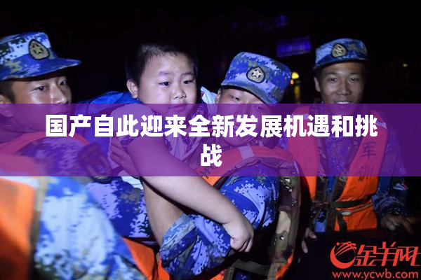 国产自此迎来全新发展机遇和挑战