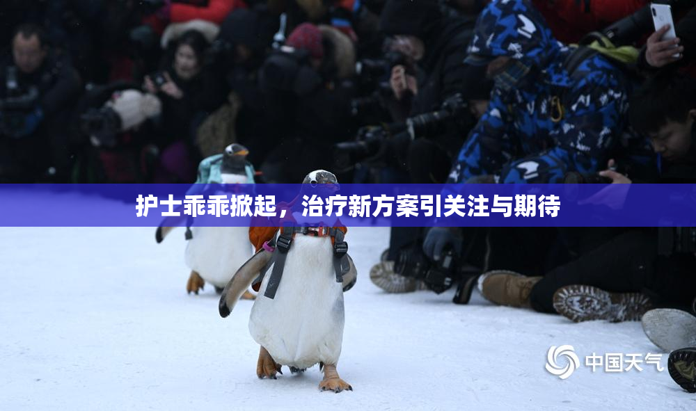 护士乖乖掀起，治疗新方案引关注与期待