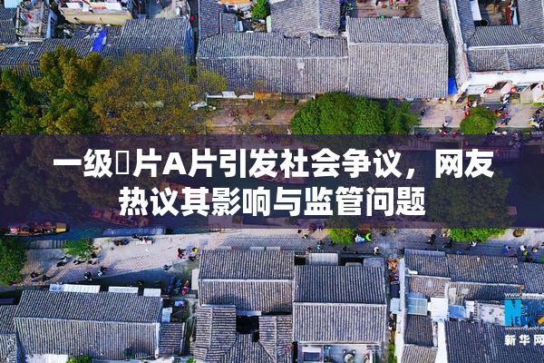 一级婬片A片引发社会争议，网友热议其影响与监管问题