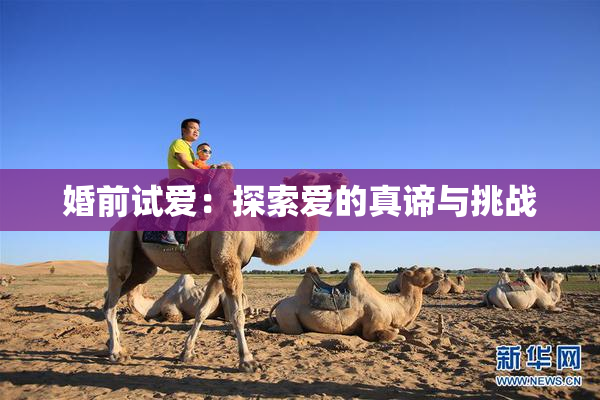 婚前试爱：探索爱的真谛与挑战