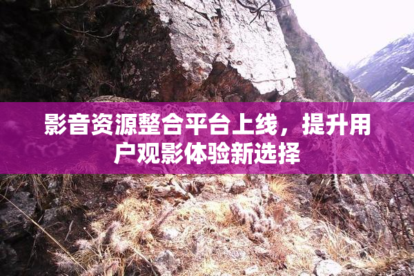 影音资源整合平台上线，提升用户观影体验新选择