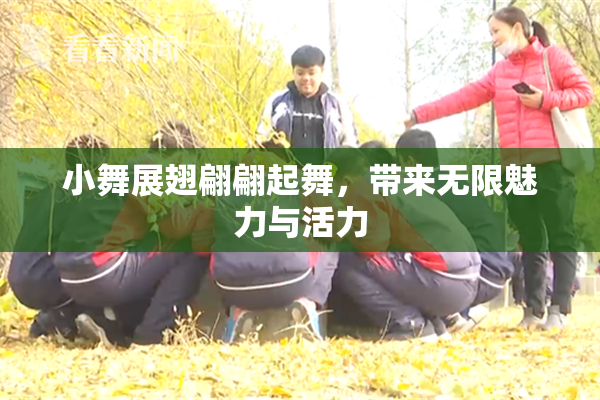 小舞展翅翩翩起舞，带来无限魅力与活力