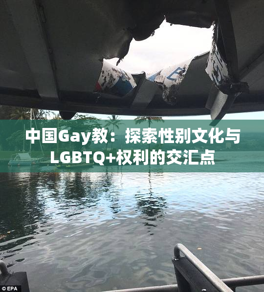 中国Gay教：探索性别文化与LGBTQ+权利的交汇点