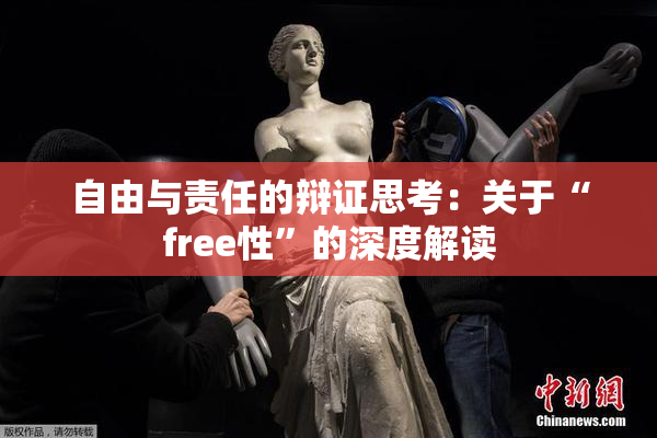 自由与责任的辩证思考：关于“free性”的深度解读