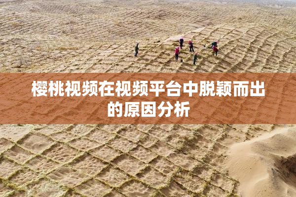 樱桃视频在视频平台中脱颖而出的原因分析