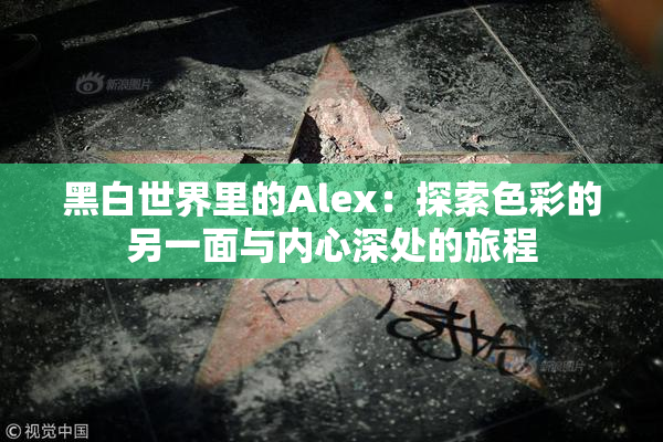 黑白世界里的Alex：探索色彩的另一面与内心深处的旅程