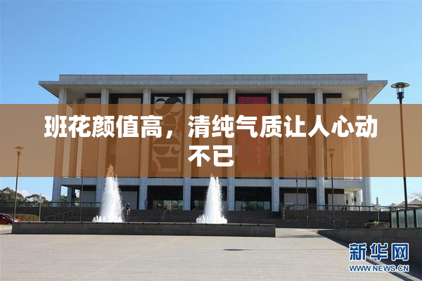 班花颜值高，清纯气质让人心动不已