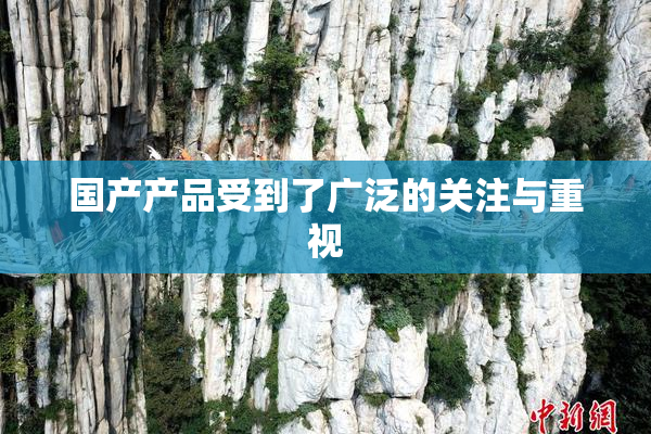 国产产品受到了广泛的关注与重视