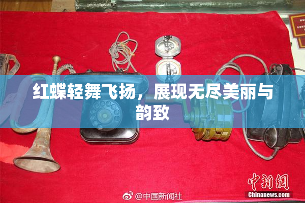 红蝶轻舞飞扬，展现无尽美丽与韵致