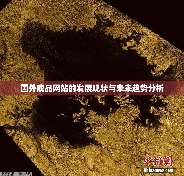 国外成品网站的发展现状与未来趋势分析