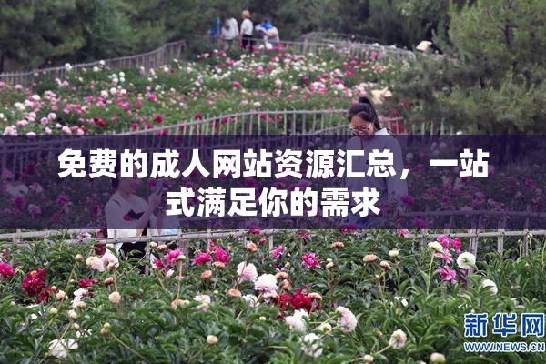 免费的成人网站资源汇总，一站式满足你的需求