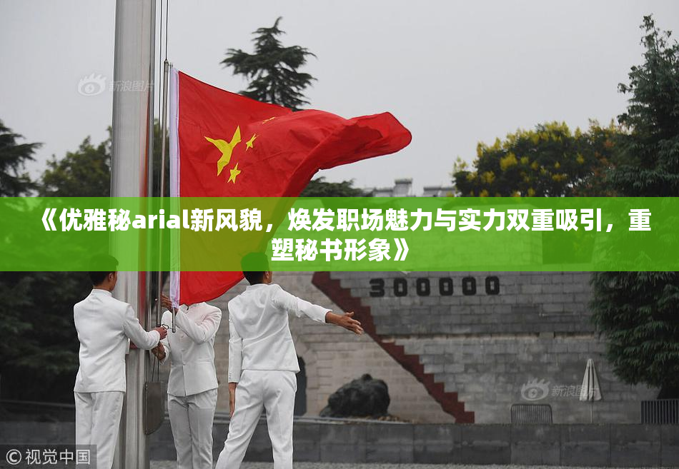 《优雅秘arial新风貌，焕发职场魅力与实力双重吸引，重塑秘书形象》