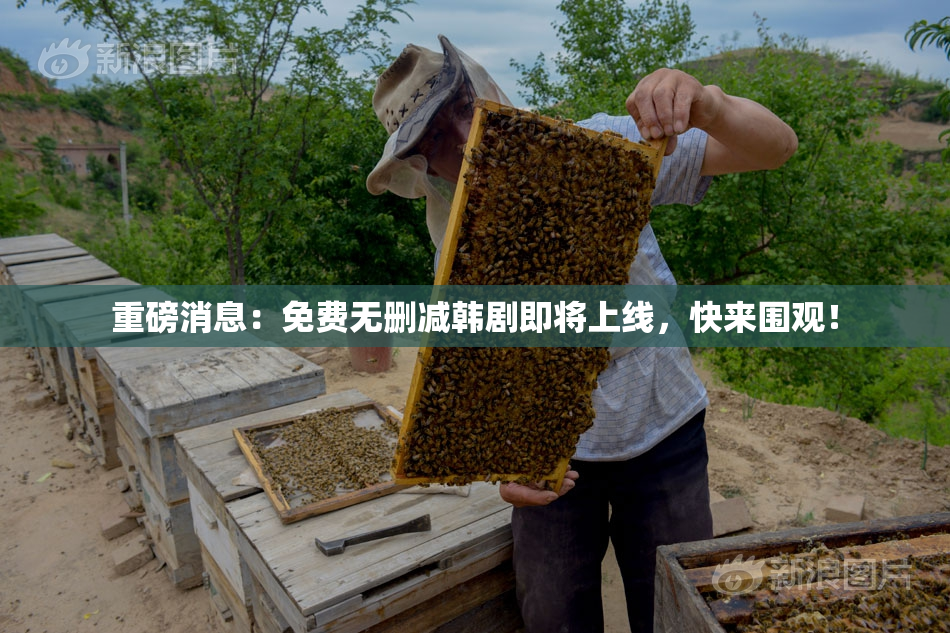 重磅消息：免费无删减韩剧即将上线，快来围观！