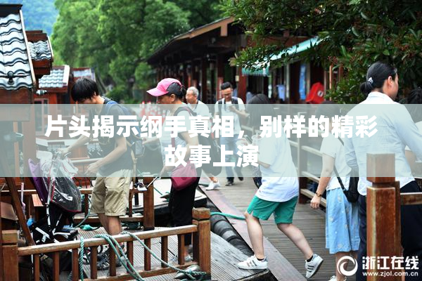 片头揭示纲手真相，别样的精彩故事上演