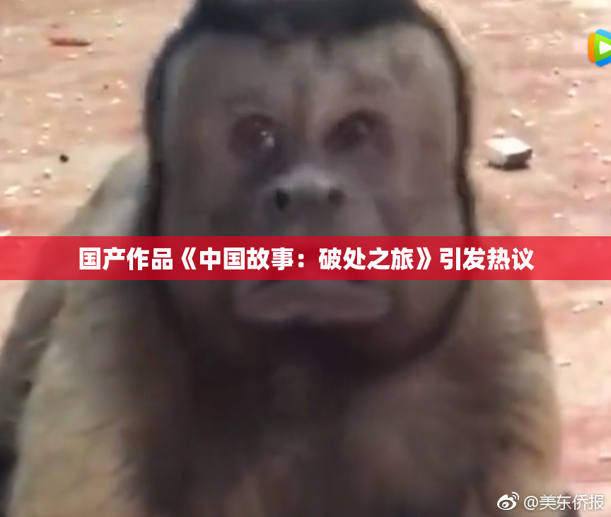 国产作品《中国故事：破处之旅》引发热议