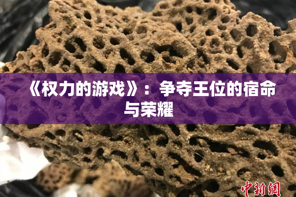 《权力的游戏》：争夺王位的宿命与荣耀