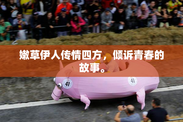 嫩草伊人传情四方，倾诉青春的故事。