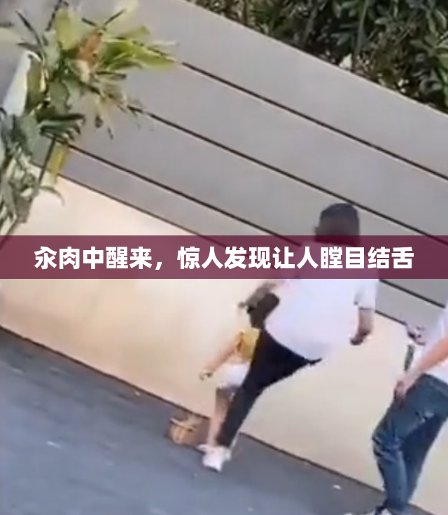 汆肉中醒来，惊人发现让人瞠目结舌