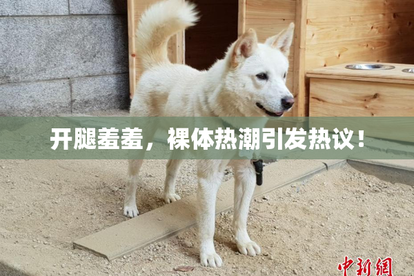 开腿羞羞，裸体热潮引发热议！