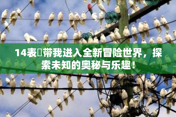 14表妺带我进入全新冒险世界，探索未知的奥秘与乐趣！
