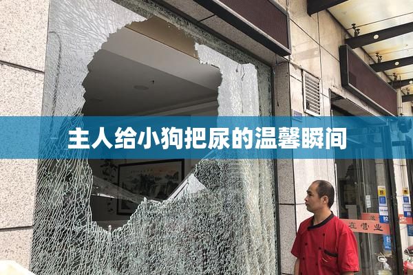 主人给小狗把尿的温馨瞬间
