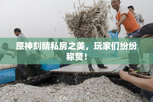 原神刻晴私房之美，玩家们纷纷称赞！