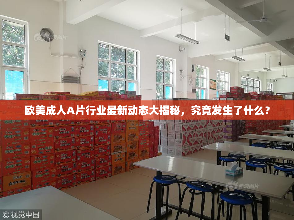 欧美成人A片行业最新动态大揭秘，究竟发生了什么？