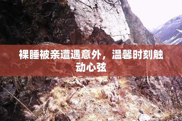 裸睡被亲遭遇意外，温馨时刻触动心弦