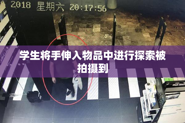 学生将手伸入物品中进行探索被拍摄到